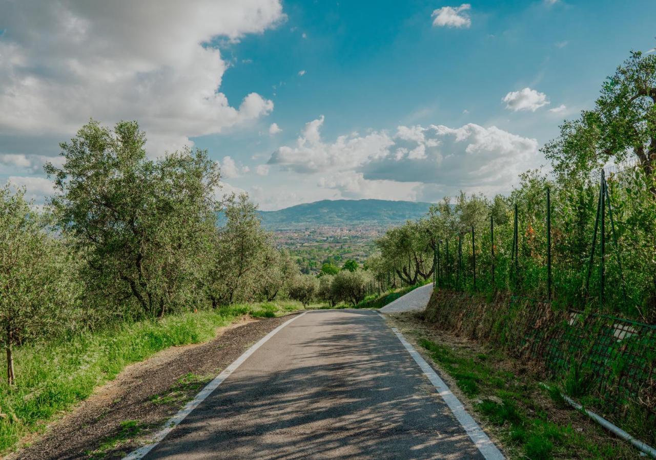 L'Otello B&B Pistoia Kültér fotó