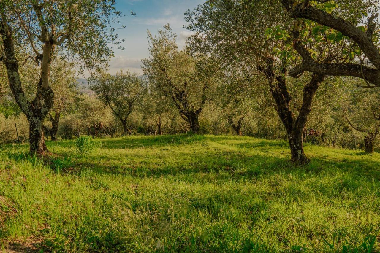 L'Otello B&B Pistoia Kültér fotó