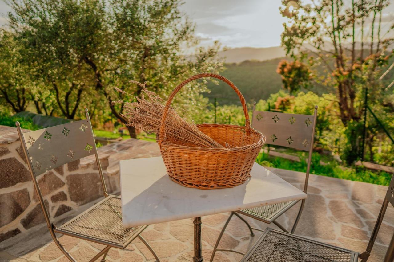 L'Otello B&B Pistoia Kültér fotó